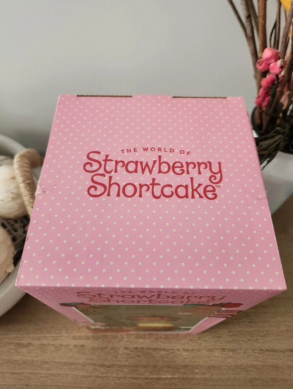 Strawberry Shortcake Candle Warmer Lamp Timer Glass Shade NWT 60W New In Box